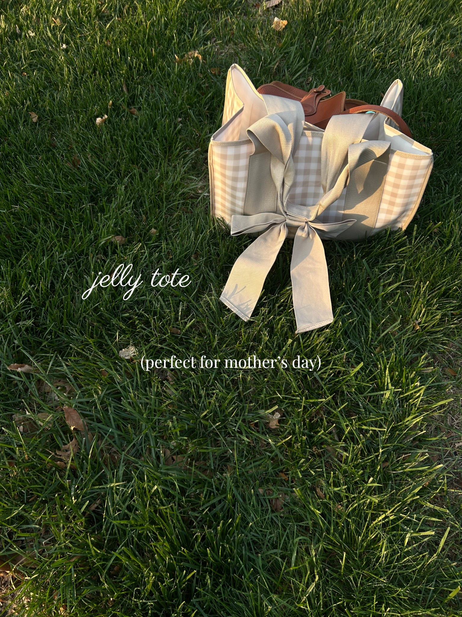 Work bag, beach bag, mom bag, gingham tote bag, jelly tote bag, washable jelly tote, jelly tote, bow bag, super girly bag, mom accessories, easy summer spring bag

#LTKdayinmylife #LTKmomlife #LTKTravel