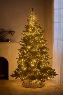 Faux Twinkling Pre-Lit Alba Fir, 8’ | Terrain
