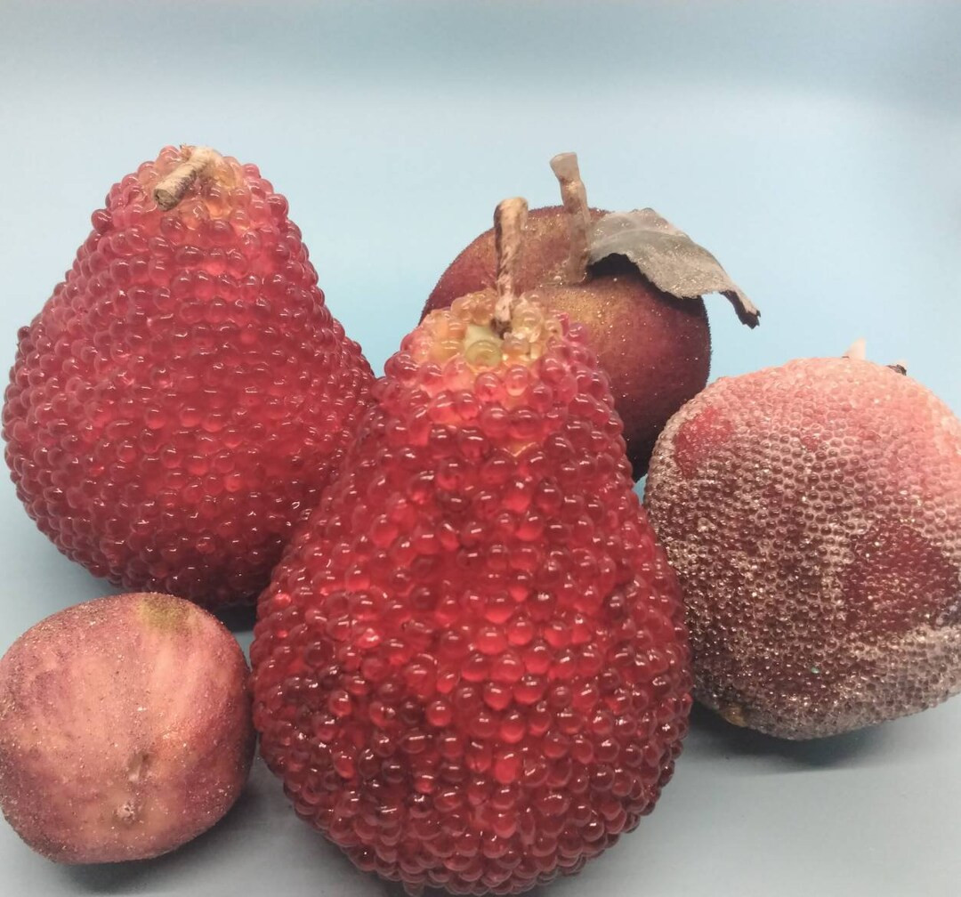 Home Decor, Fruit, Fake Fruit, Sugared Fruit, Faux Fruit, Fruit Bowl, Fruit Decor, Crafting, Wrea... | Etsy (US)