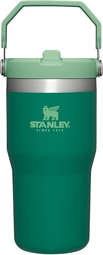 Stanley IceFlow Stainless Steel Tumbler with Straw - Vacuum Insulated Water Bottle for Home, Offi... | Amazon (US)