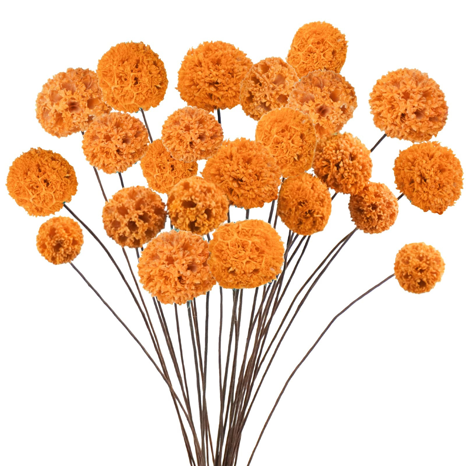 24 PCS Dried Craspedia Billy Balls Flowers, 18” Natural Dried Flowers Bouquet for Vase Floral A... | Amazon (US)