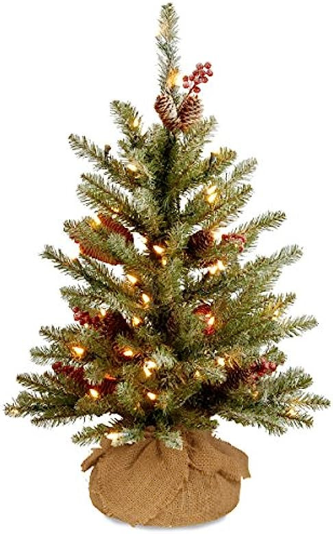 Amazon.com: National Tree Company Pre-Lit Artificial Mini Christmas Tree, Green, Dunhill Fir, Whi... | Amazon (US)