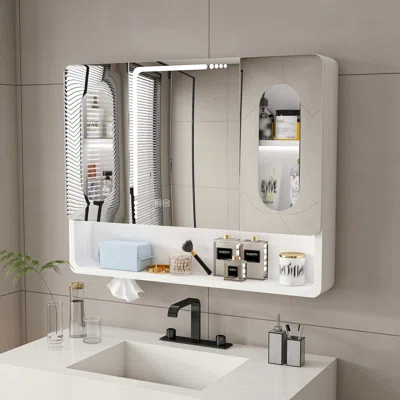 Medicine Cabinet | Wayfair North America