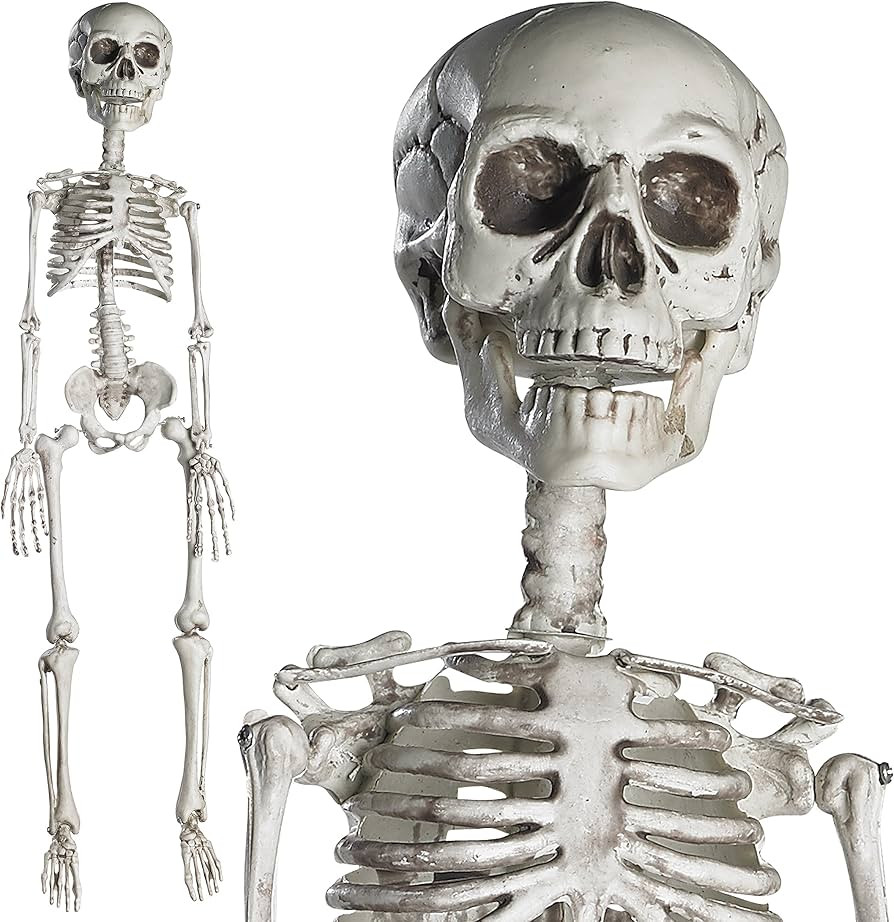 Prextex Life-Size Poseable Skeleton - Halloween Decorations - Full Size Plastic Skeleton for Hall... | Amazon (UK)