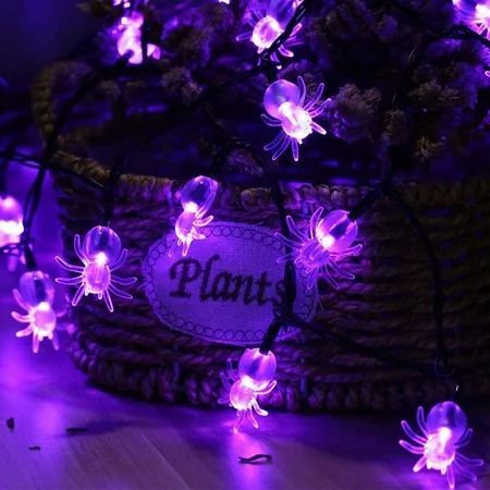 Halloween String Lights 30 LED 13.12ft Purple Spider Lights with Flash/Stable Mode Battery Operated Portable Halloween Decorations Lights for Outdoor Decorations Holiday Party Decoration | Walmart (US)