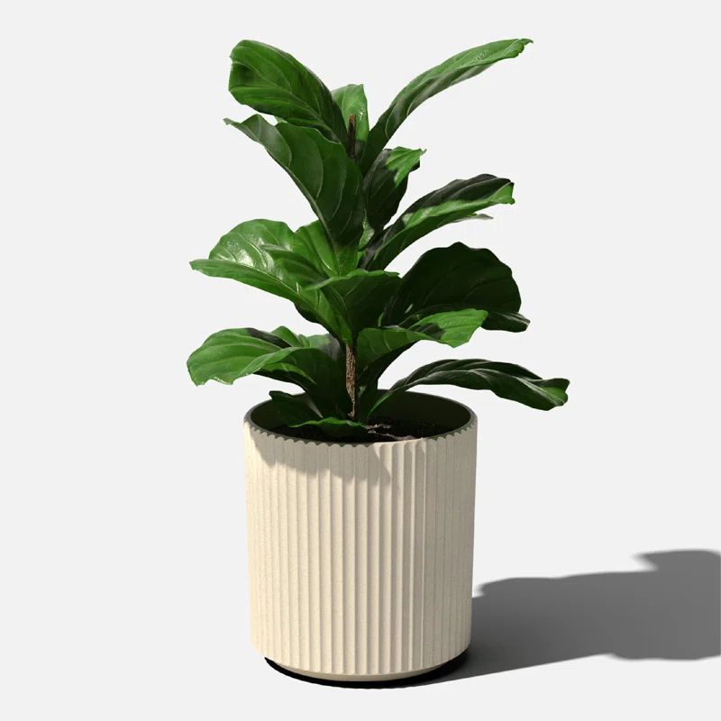 Veradek Demi Series Round Planter | Wayfair North America