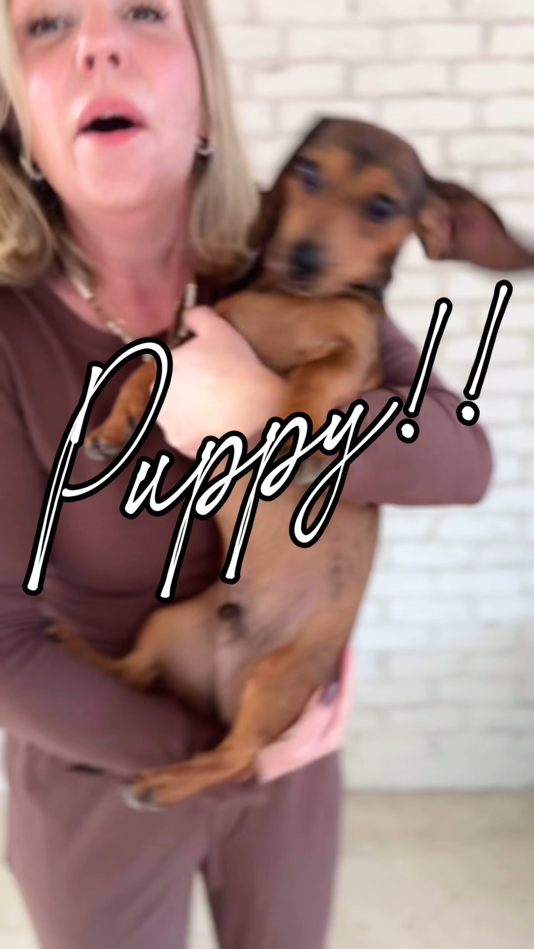 Size medium in everything! Except the puppy who is a mini doxie :) 

#LTKMidsize #LTKPetite #LTKOver40