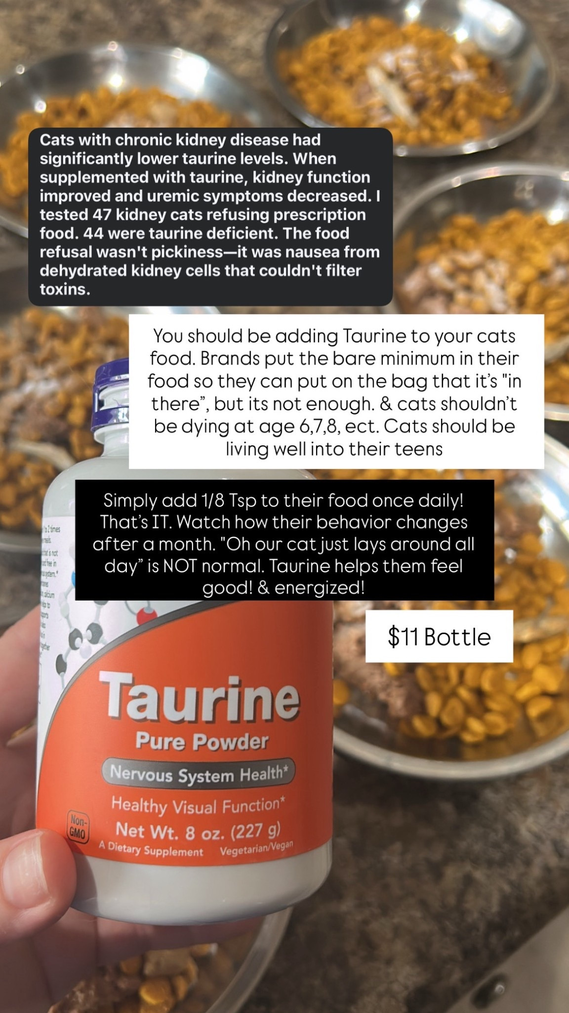 Linking the pure Taurine we use #LTKcats #LTKpets 