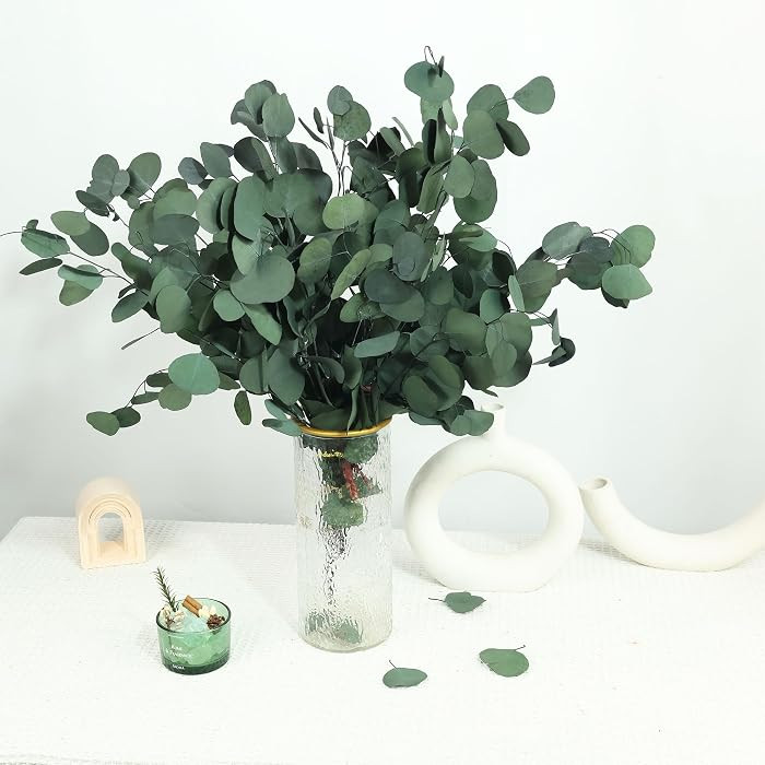 30 Pcs Real Dried Eucalyptus Stems, 17" Preserved Eucalyptus Silver Leaves | Amazon (US)