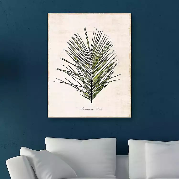 Palm Botanical I Giclee Canvas Art Print | Kirkland's Home