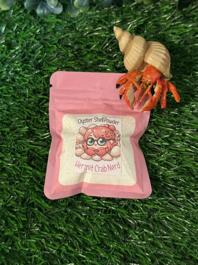 Hermit Crab Oyster Shell Powder - Etsy | Etsy (US)