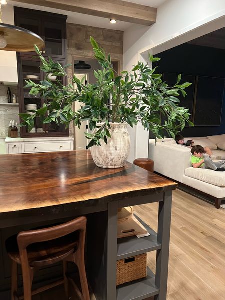 Tall faux bay leaf branches and terracotta vase linked here! 

#LTKhome