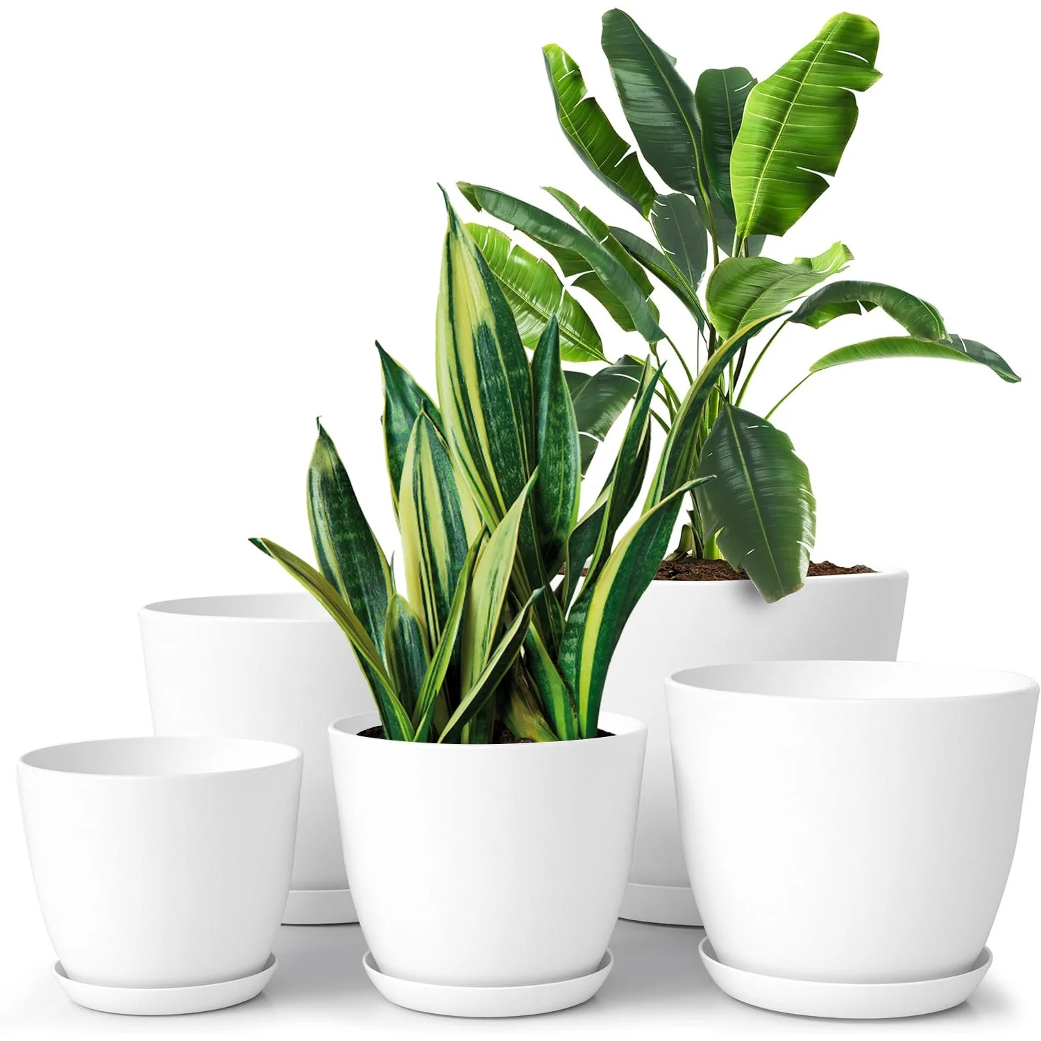 FOUKUS Set of 5 White Plastic Plant Pots with Drainage Holes and Tray - Eco-Friendly Indoor/Outdo... | Walmart (US)