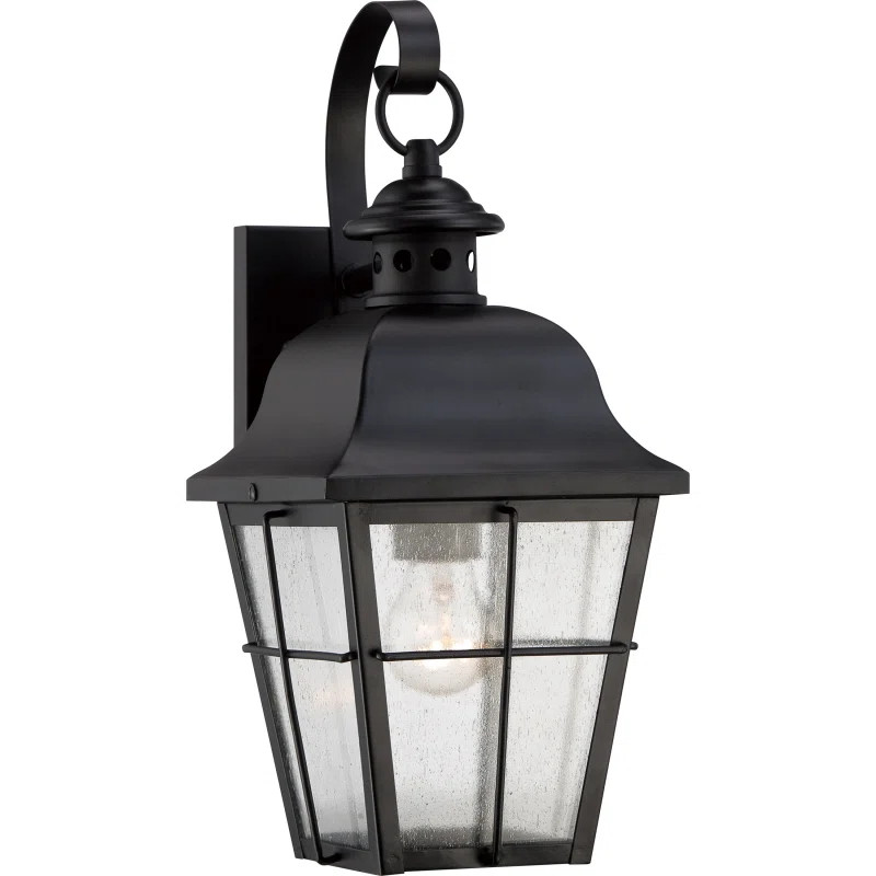 Danielson 1-Light Wall Lantern | Wayfair North America