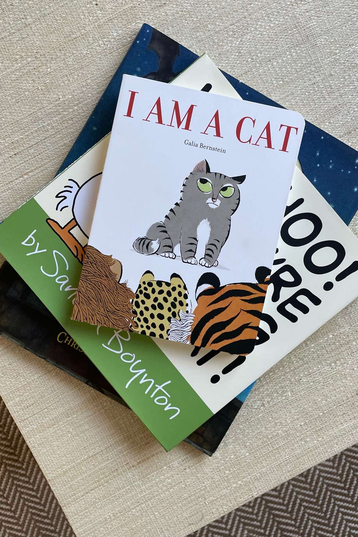 Book fair favorites 📚

#booklist #fallreading #preschoolreading #bookclub #readinglist 