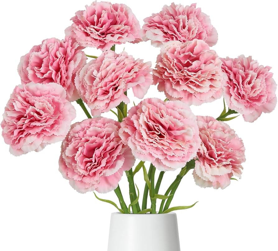 Pink Carnations Artificial Flowers 10PCS Faux Carnations Flowers with Stems Fake Silk Carnations ... | Amazon (US)