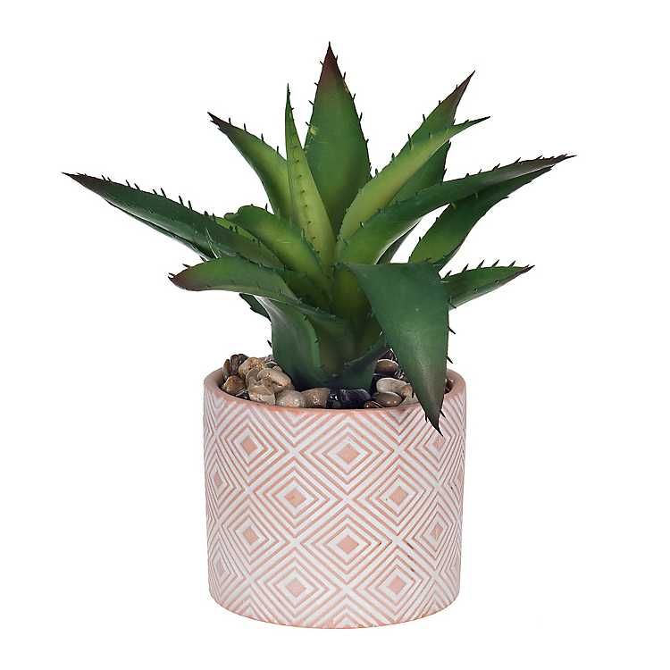 New! Succulent in Diamond Terra Cotta Planter | Kirkland's Home