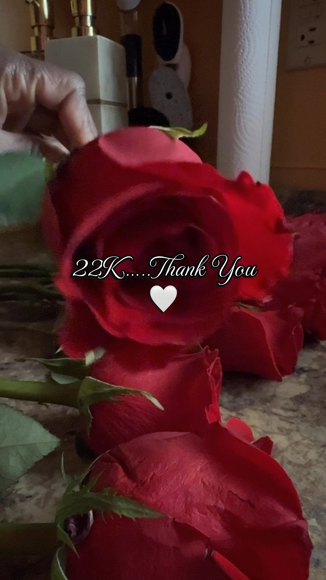22k on IG 👏🏾🌹

#LTKdayinmylife #LTKselfcare #LTKvlog