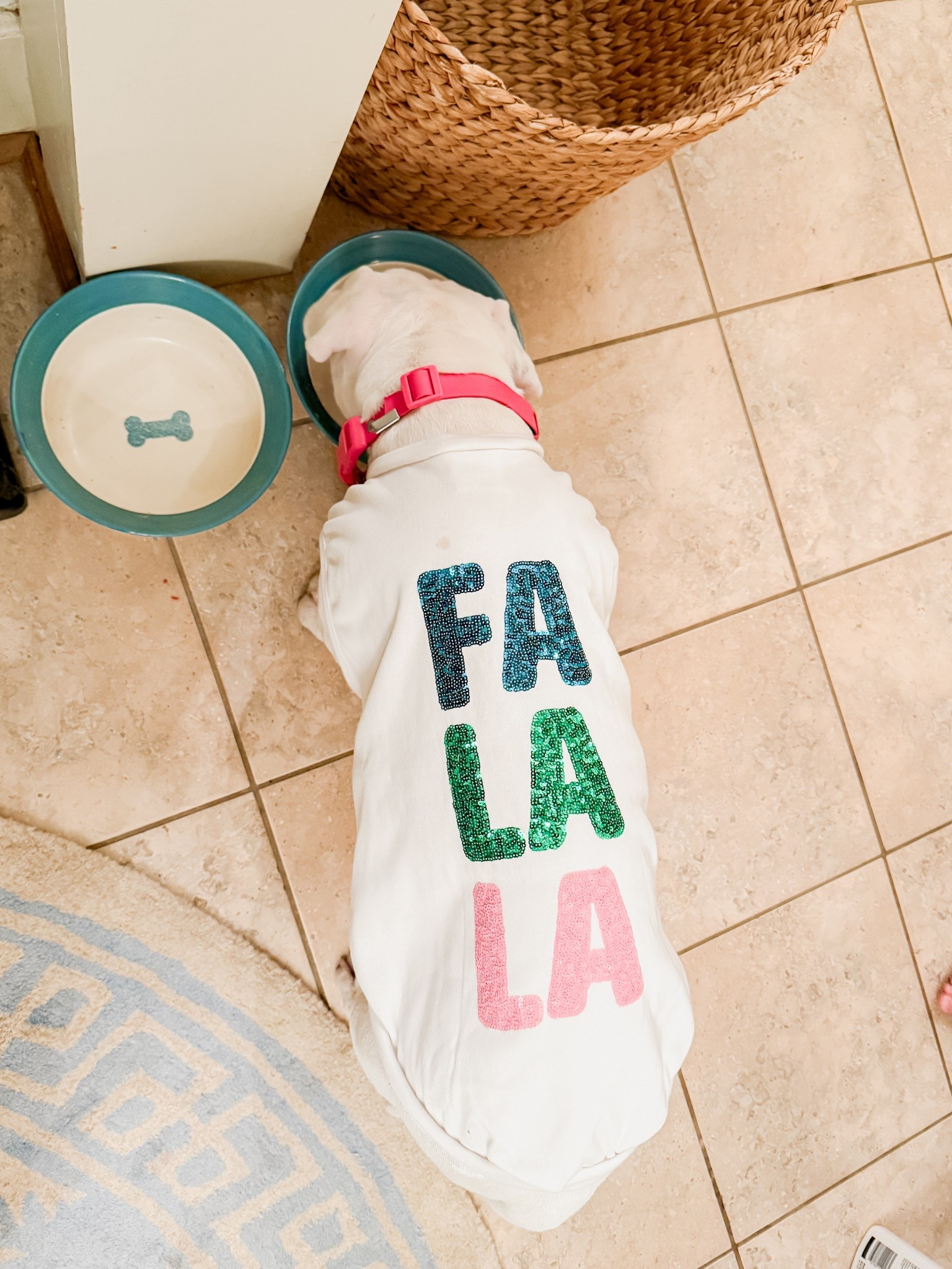 Festive dog sweater 🐶 🎄

#LTKHoliday #LTKootd #LTKGiftGuide