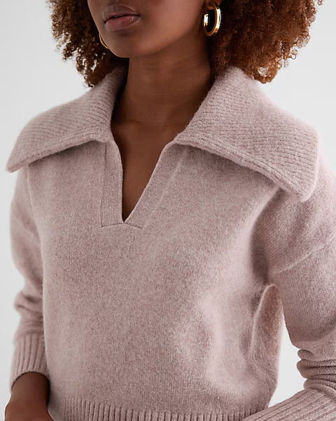 V-neck Long Sleeve Polo Sweater | Express