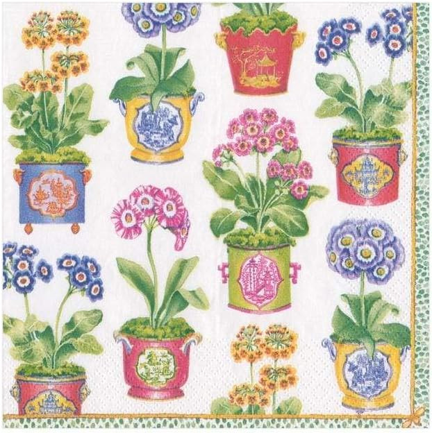 Caspari Primroses Paper Cocktail Napkins - 40 Count | Amazon (US)