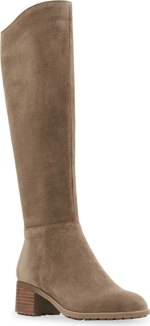 Tatiana Waterproof Knee High Boot (Women) | Nordstrom