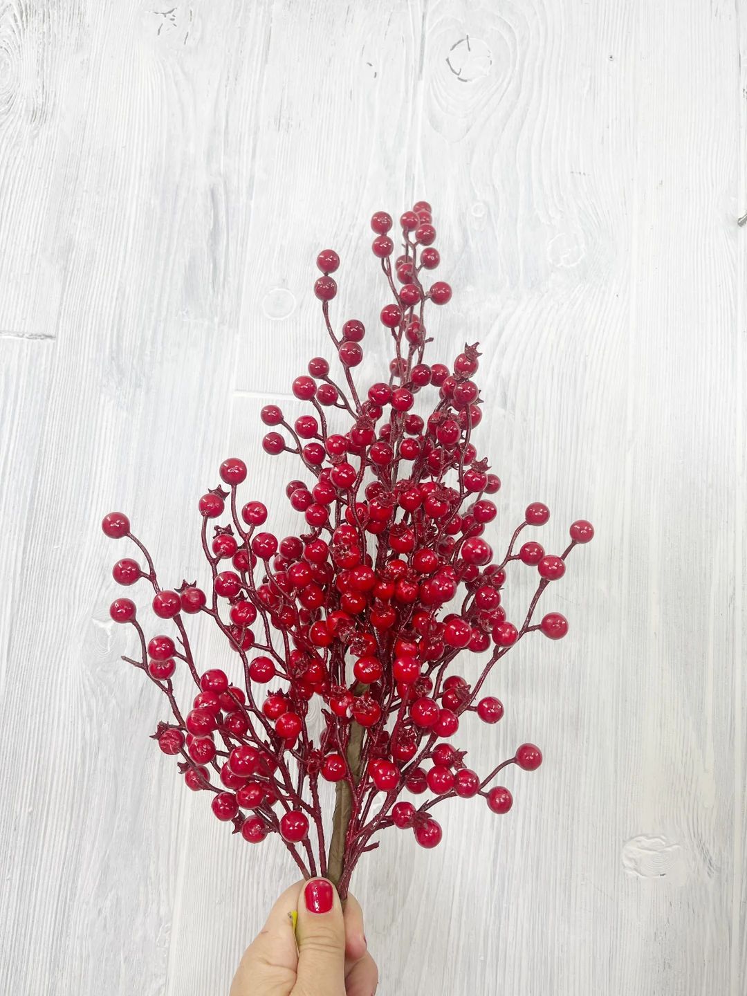 Red Berry Stem Berry Bush Christmas Red Berry Berries for - Etsy | Etsy (US)
