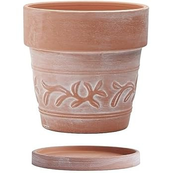 10" Embossed Whitewashed Terracotta Planter with Drainage Hole & Saucer, Rustic Style Unglazed Te... | Amazon (US)
