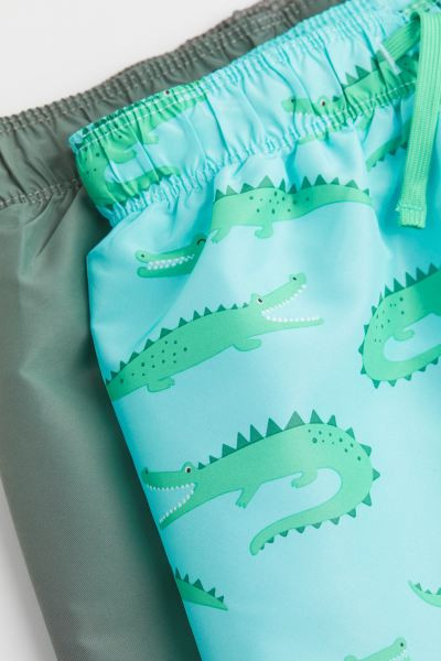 2-pack Swim Shorts | H&M (US + CA)