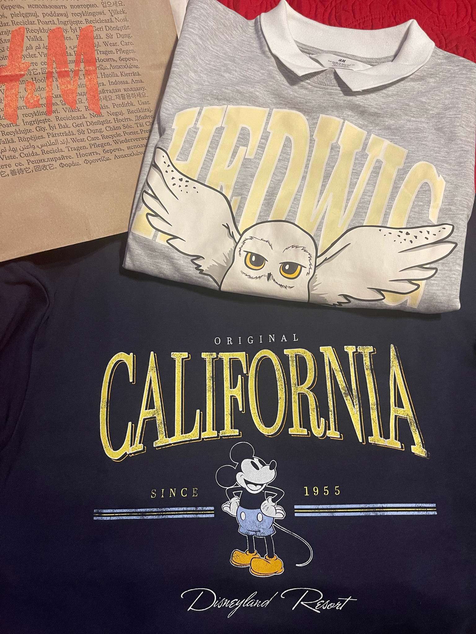 Disney and Harry Potter…my favorites! 

#LTKunder100 #LTKFind #LTKSale