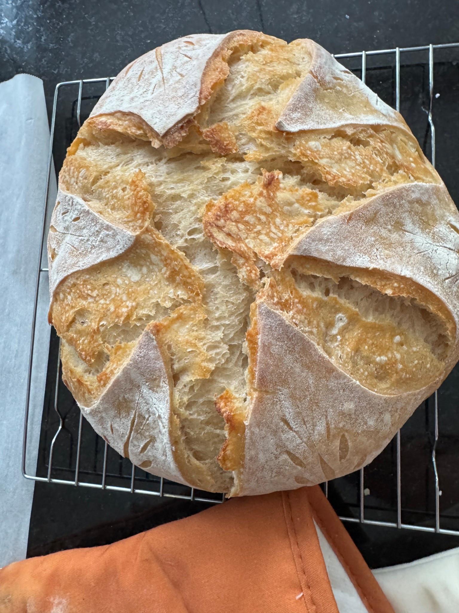 Simple tools for sourdough making! 🥖 

#LTKFindsUnder50 #LTKFamily #LTKHome