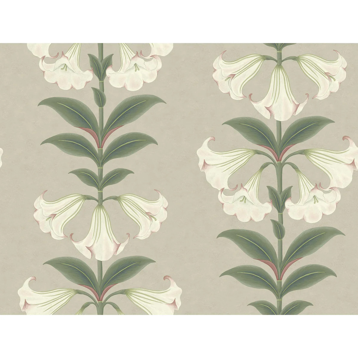 Cole & Son Angels Trumpet Chalk & Sage On Stone Wallpaper | DecoratorsBest