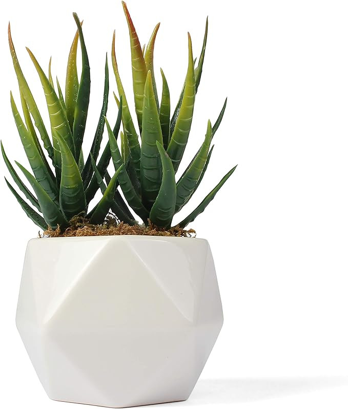 Artificial Succulent - Fake Succulent in Planter - Faux Succulent with Ceramic Geometric Planter ... | Amazon (US)