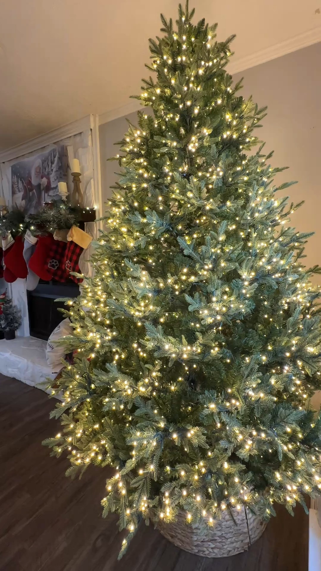 My favorite twinkling Christmas Tree is on SALE! 🎄😍✨


Christmas Decor

#LTKHoliday #LTKCyberWeek #LTKSeasonal