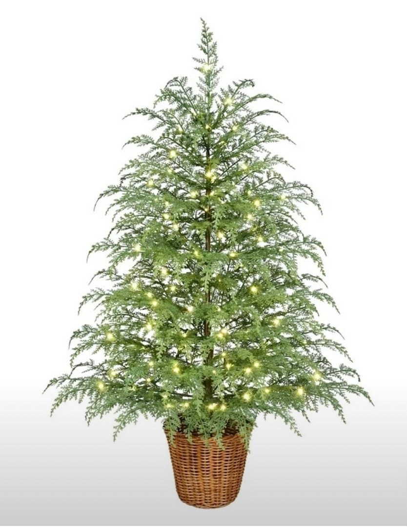 BACK IN STOCK! Viral 4ft Pre Lit tree is back! Great for indoors or outdoors. Currently on our porch!

#LTKHoliday #LTKSeasonal #LTKHome