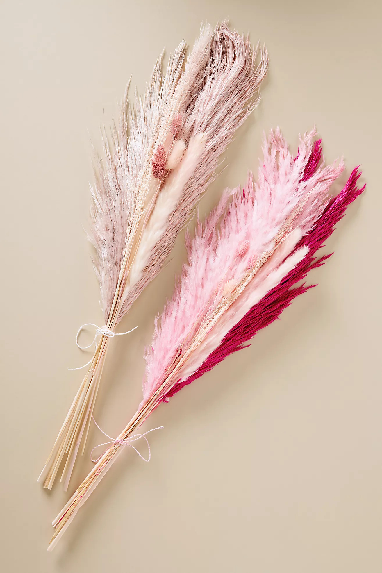 Dried Floral Bouquet | Anthropologie (US)