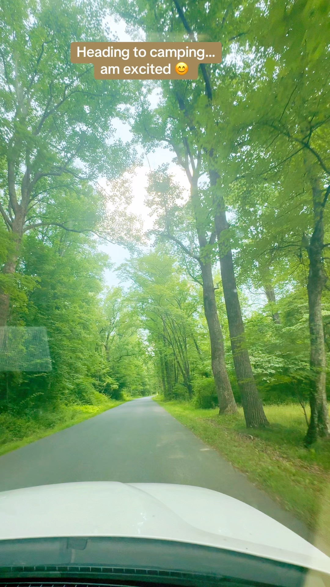 Camping is one of my families favorite summer activitie🥰

#LTKTravel #LTKVideo