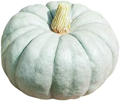 Large Blue Jarrahdale Pumpkin Seeds - One of The Most Interesting and Decorative Pumpinks as Well... | Amazon (US)