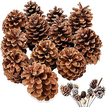 YEXPRESS 12 Pack Large Natural Pinecones, 3.5" to 4.7" Christmas Rustic Natural Pine Cones Fall O... | Amazon (US)