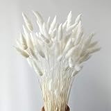 Dried Bunny Tails,Dried Tall Grass, Lagurus Ovatus Bunches for Wedding Decor (White) | Amazon (US)