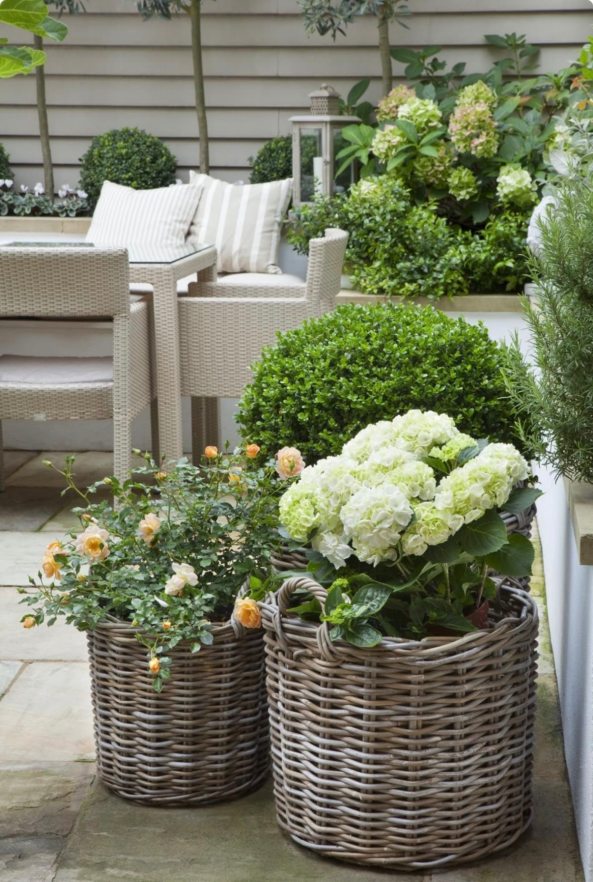 LOVE outdoor baskets used as planters!! French-inspired style

Home decor, spring decor, outdoor decor, spring refresh 

#LTKHome