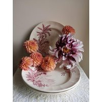 French Antique Ironstone Plates, Set Of 3, Made By ""Longchamp', Model ""Exotique', Pink Transferware | Etsy (US)