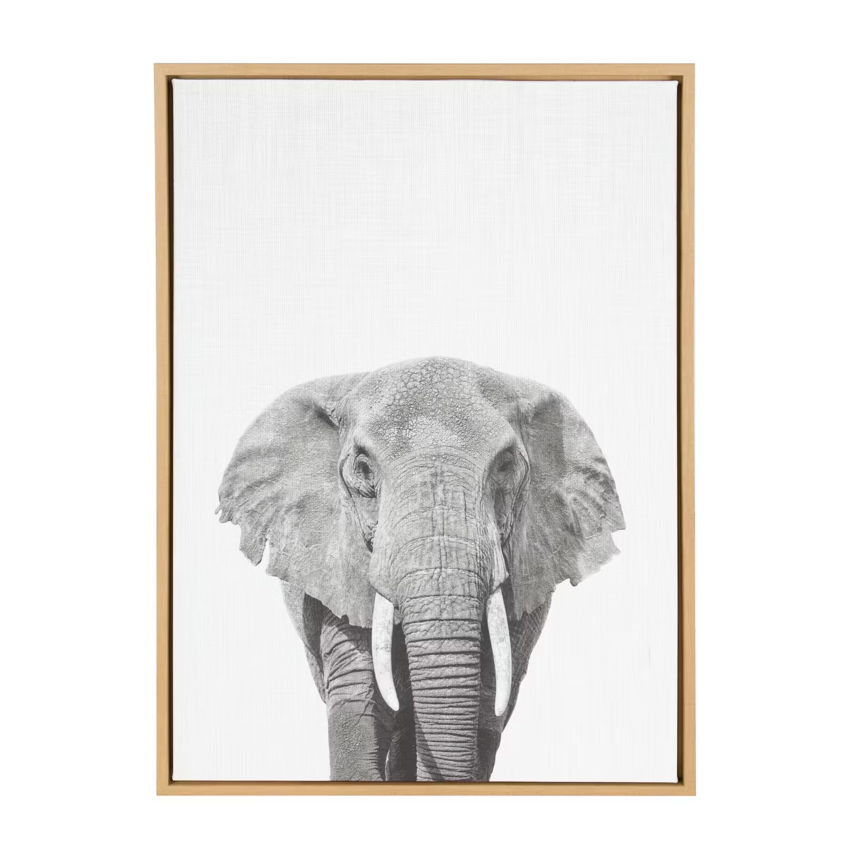 33"x23" Sylvie Elephant Animal Print And Portrait By Simon Te Tai Framed Wall Canvas Kate & Laure... | Target