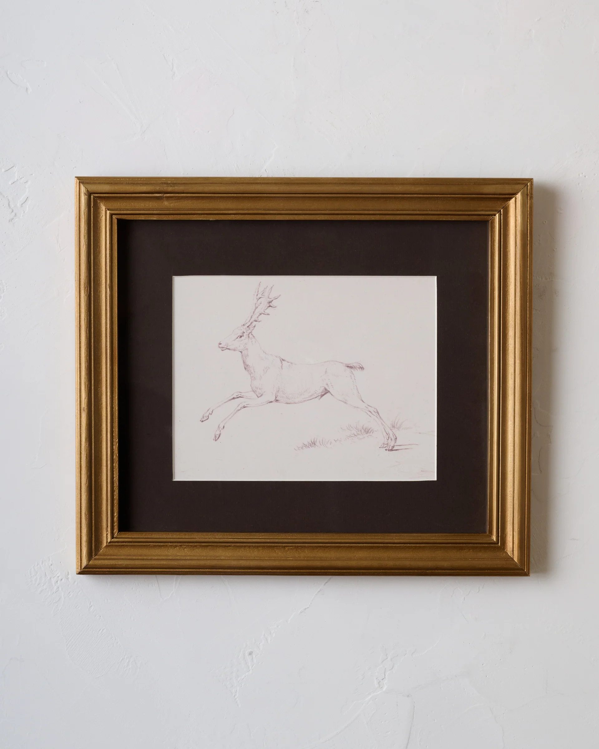 Woodland Deer Sketch | Magnolia