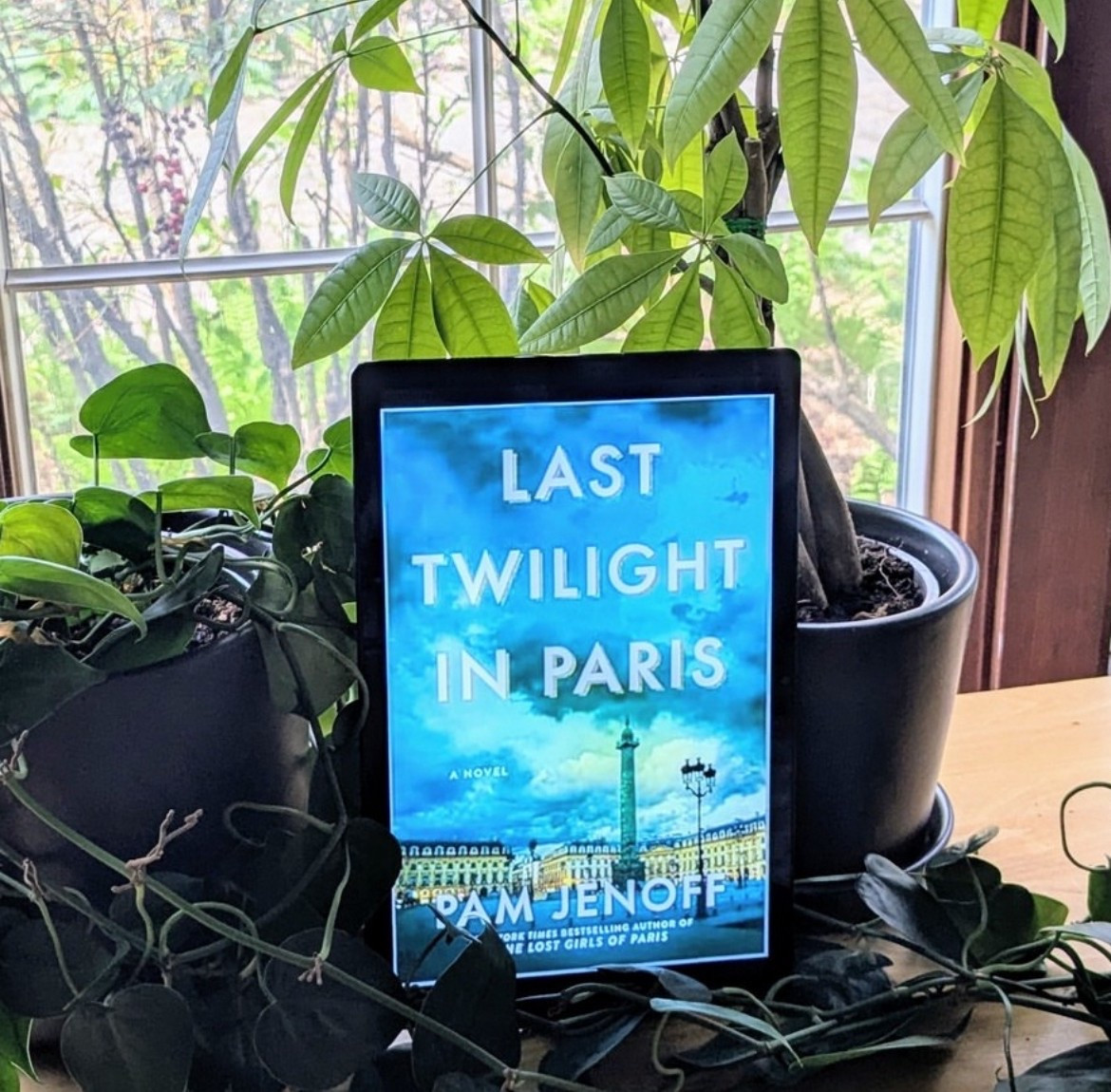 Last Twilight in Paris by Pam Jenoff ⭐⭐⭐⭐

Pub Date: February 4, 2025
Pages: 336
Audiobook Length: 10 hours, 31 minutes

Bethany's Review: Historical Fiction is a go-to genre for me. I enjoyed the dual timelines going from 1943 and 1953, and the characters were wonderfully developed. There were pieces of history presented in this well-researched story that I hadn’t known about and I did some research on my own after the fact. I love when that happens. Some parts of the story were predictable, but I still enjoyed following Helaine and Louise on their journeys. I absolutely love stories about strong women and that was showcased here. This was a great historical fiction novel where I learned something new. 

Sara's Review: I am a big historical fiction fan and a big Jenoff fan. As always, I was impressed with her ability to weave history with fiction. The amount of research she puts into her books is astounding and obvious from page one. I enjoyed the characters, their growth, their challenges, their determination and grit. I found the love story connected to a lost necklace to actually detract from the rest of the story though. I think I would have enjoyed it more if we were more focused on the characters and their experiences than on their connection to a lost necklace. I liked that this story took place mostly in Paris during WWII, focusing on the high end department story that became a "home" for prisoners during the war. The descriptions and experiences during this time were horrific, and the strength of some during this time is awe inspiring. If you are a fan of historical fiction, especially centering on a not often written about part of WWII, this is a must read.

#LTKHome #LTKFindsUnder50 #LTKGiftGuide