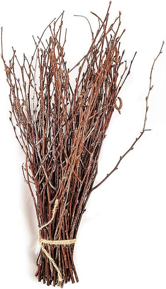 Green Floral Crafts - 3-4 Foot Natural Birch Branches Perfect for Floor Vases, Centerpieces, & Ar... | Amazon (US)