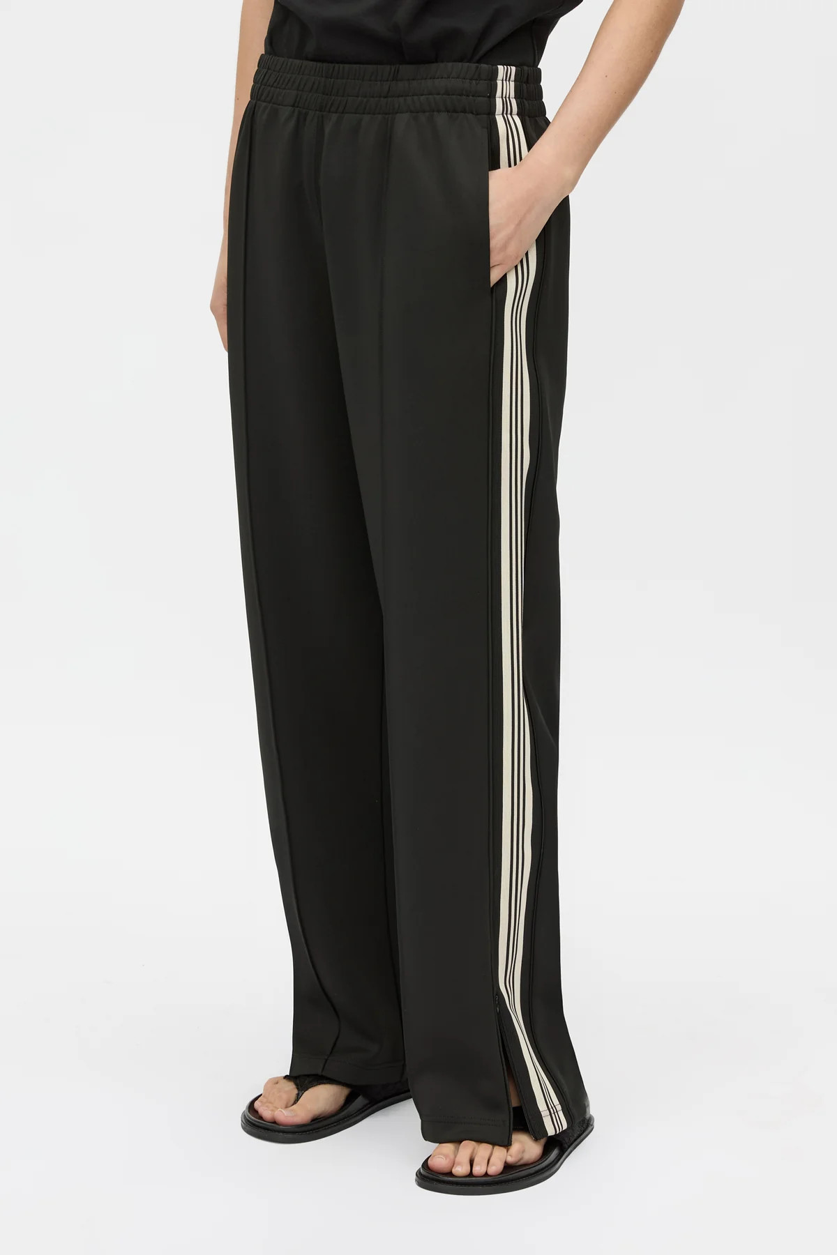 Locus Scuba Pant in Black - CAMILLA AND MARC® C&M | CAMILLA AND MARC (ANZ)