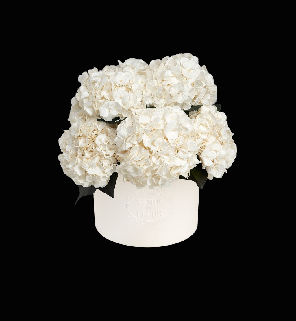 Eternity Hydrangeas - Porcelain Collection - Thalia Vase Porcelain | Venus ET Fleur