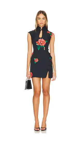 Raya Dress in Black | Revolve Clothing (Global)