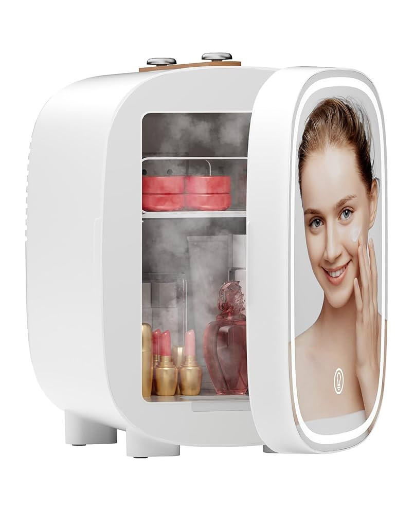 DF01A Skincare Fridge, Mini Fridge for Skincare with 3-Level Dimmable LED Light Mirror, Low Noise... | Amazon (US)